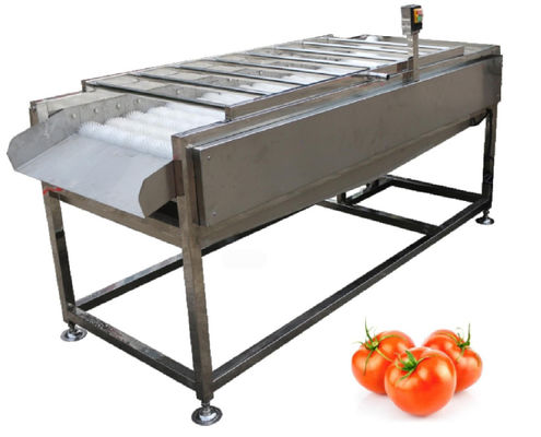 equipo de planta de tratamiento de la comida 500kg/h, lavadora vegetal del cepillo de la fruta