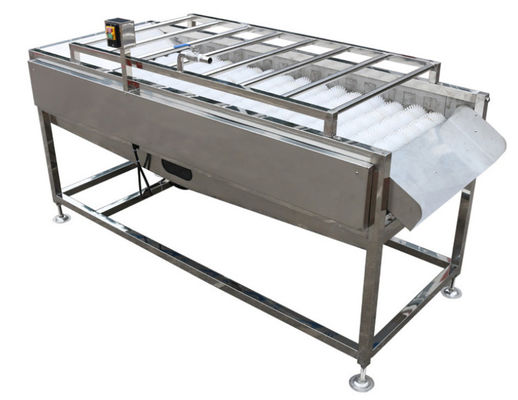 equipo de planta de tratamiento de la comida 500kg/h, lavadora vegetal del cepillo de la fruta
