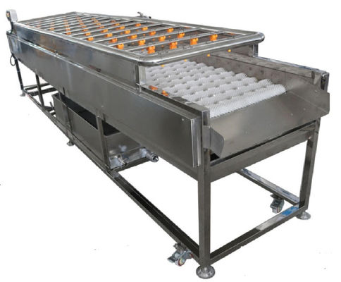 Maquinaria de la transformación de los alimentos 3.35KW, máquina de la limpieza de espray 1000kg/h