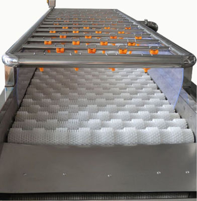 Maquinaria de la transformación de los alimentos 3.35KW, máquina de la limpieza de espray 1000kg/h