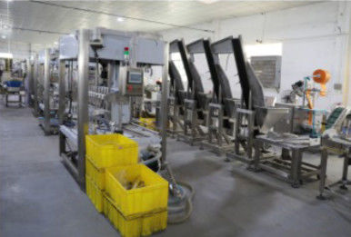 Máquina que capsula del embotellado 20KW, máquina automática del envoltorio retractor 1.2T