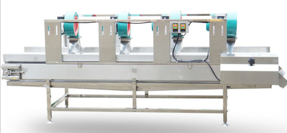 Máquina seca 500kg/h de la comida del aire de la trompeta para la carne de la legumbre de fruta
